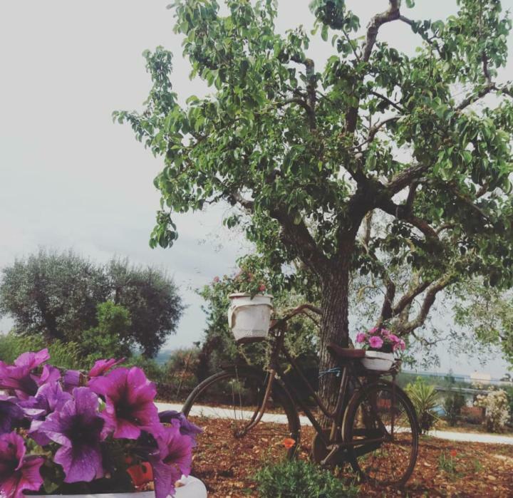 Trulli Di Nonna Palma Villa โลโกโรตอนโด ภายนอก รูปภาพ