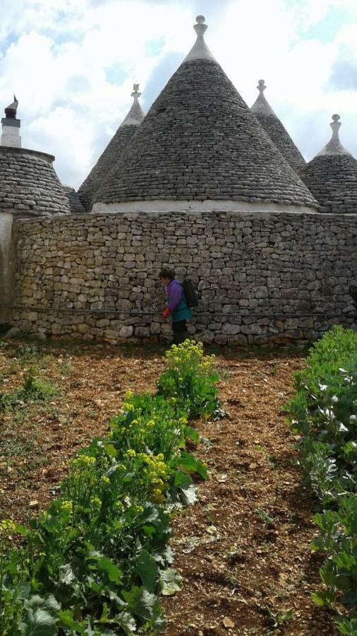 Trulli Di Nonna Palma Villa โลโกโรตอนโด ภายนอก รูปภาพ